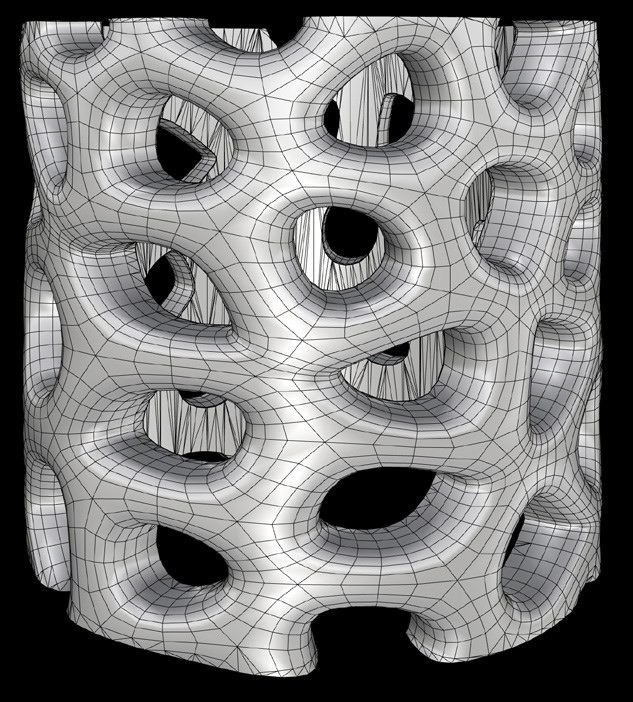 Generative Voronoi geometry of the MycoCore