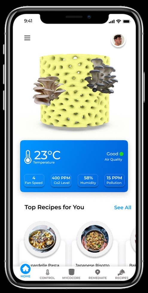 The companion app