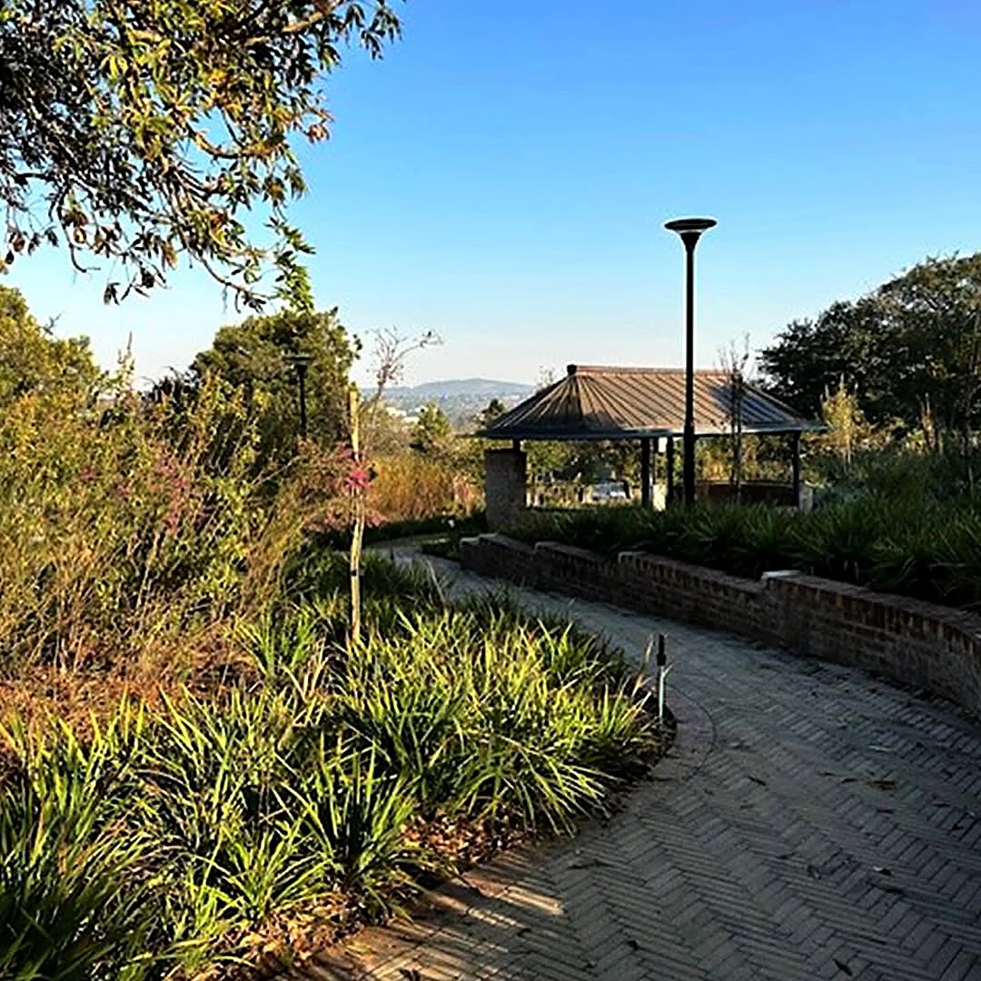 Built pavilion: the conical roof above the planted campus landscape, Lowveld hills beyond